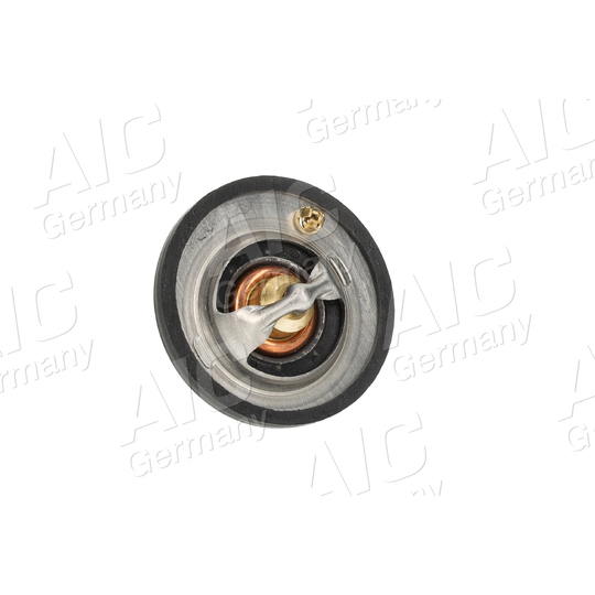 75202 - Thermostat, coolant 