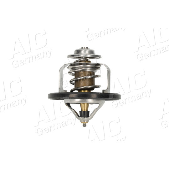 75194 - Thermostat, coolant 