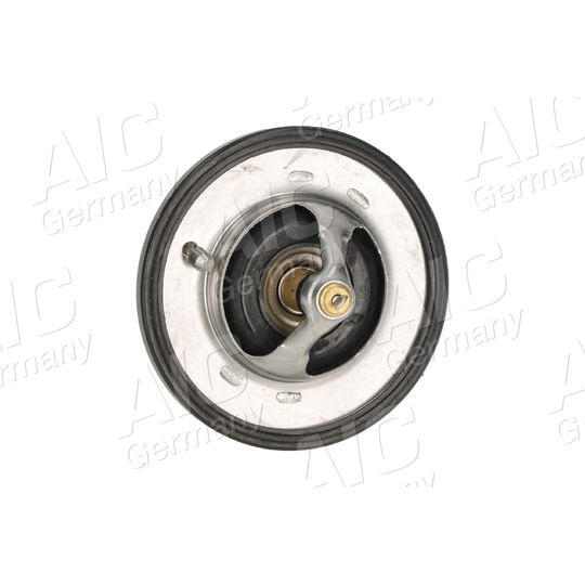 75194 - Thermostat, coolant 