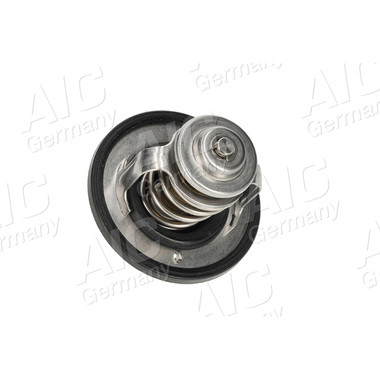 75194 - Thermostat, coolant 