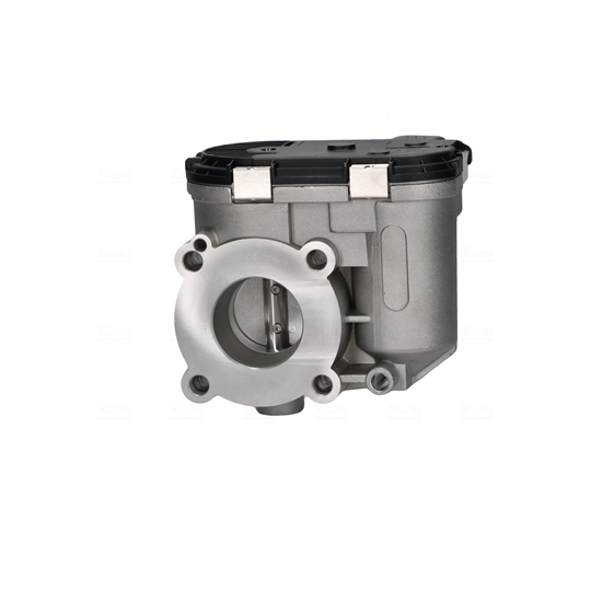 955253 - Throttle Body 