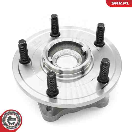 29SKV561 - Wheel Bearing Kit 