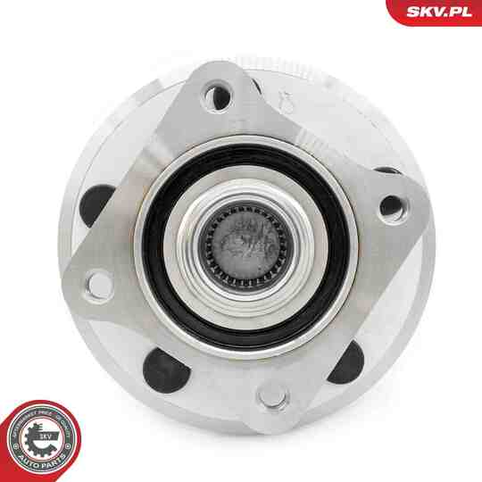 29SKV561 - Wheel Bearing Kit 