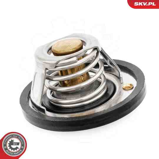 20SKV218 - Thermostat, coolant 