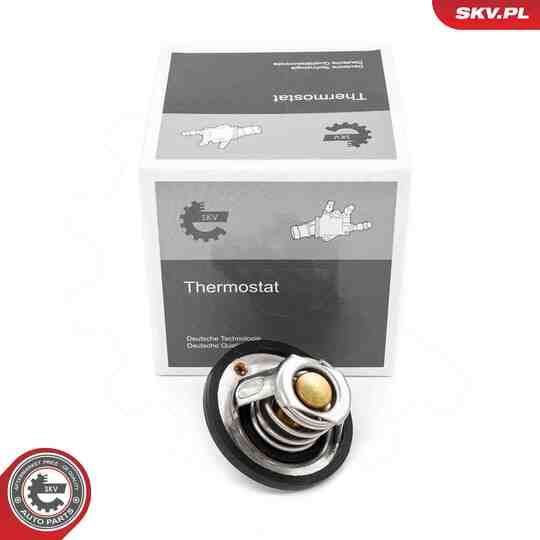 20SKV218 - Thermostat, coolant 