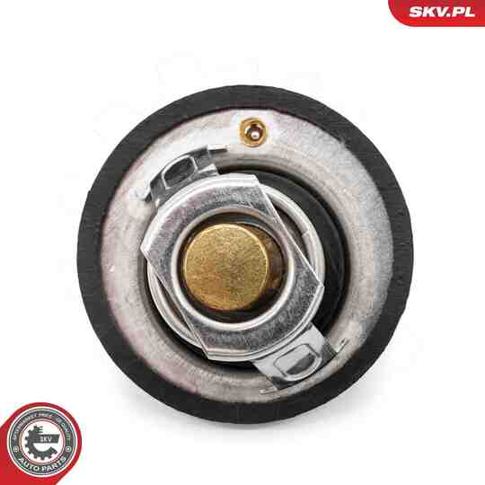 20SKV218 - Thermostat, coolant 