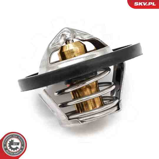 20SKV218 - Thermostat, coolant 