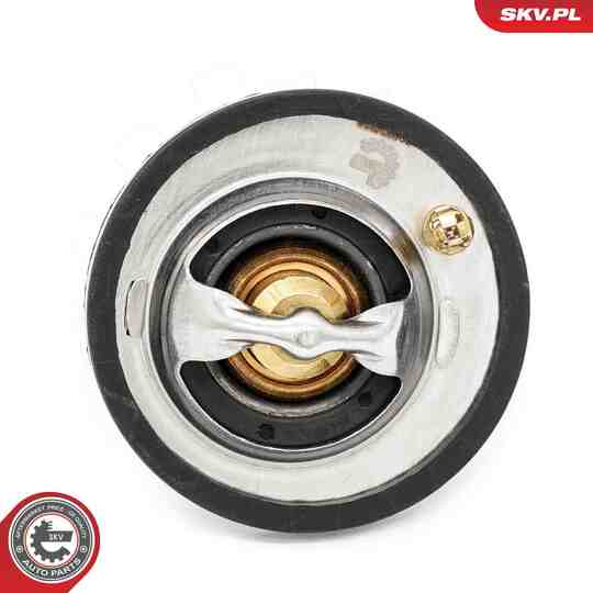 20SKV218 - Thermostat, coolant 