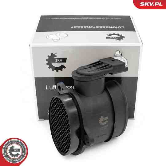 07SKV250 - Air Mass Sensor 