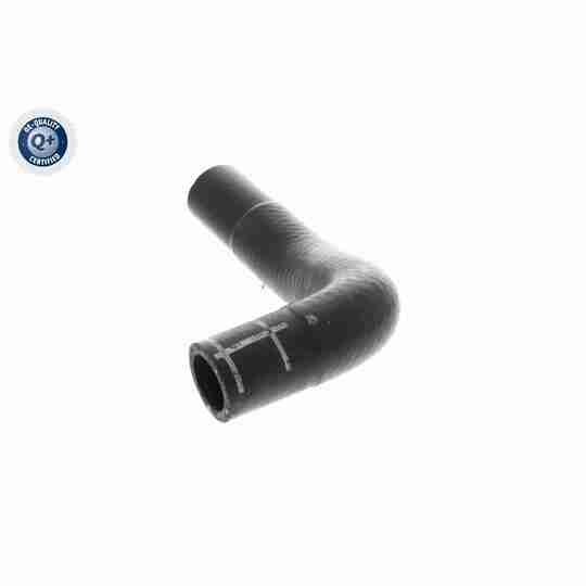 V10-4860 - Radiator Hose 