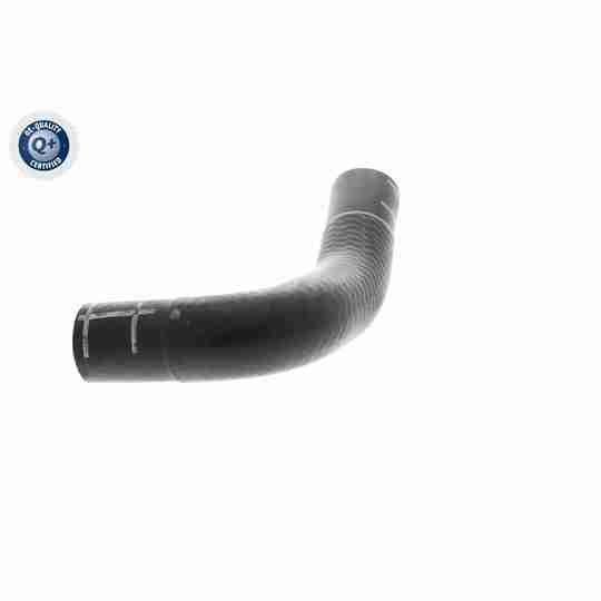 V10-4860 - Radiator Hose 