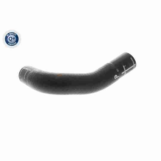 V10-4860 - Radiator Hose 