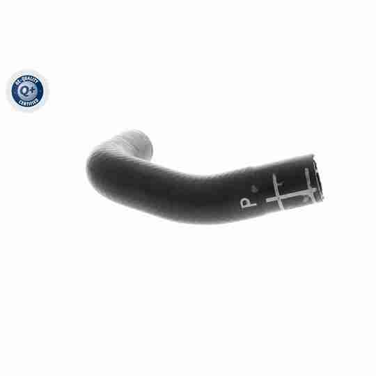 V10-4860 - Radiator Hose 