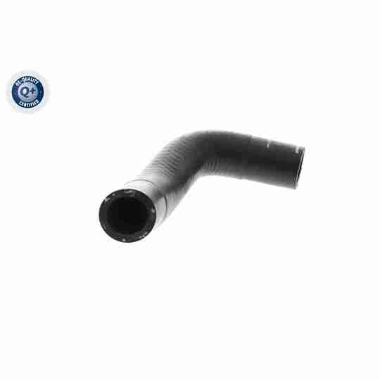 V10-4860 - Radiator Hose 