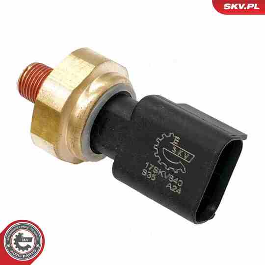 17SKV840 - Sensor, avgastryck 