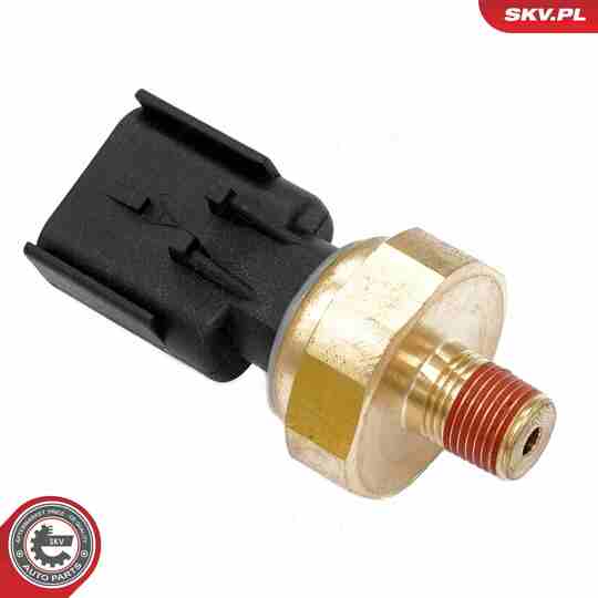 17SKV840 - Sensor, exhaust pressure 