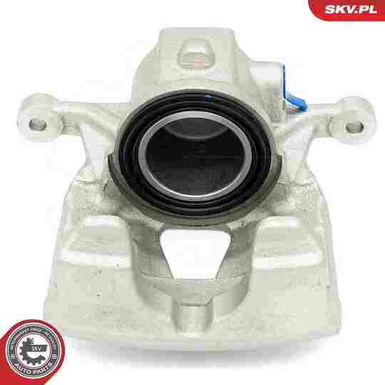 56SKV842 - Brake Caliper 