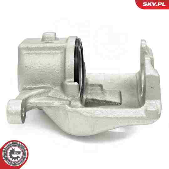 56SKV842 - Brake Caliper 