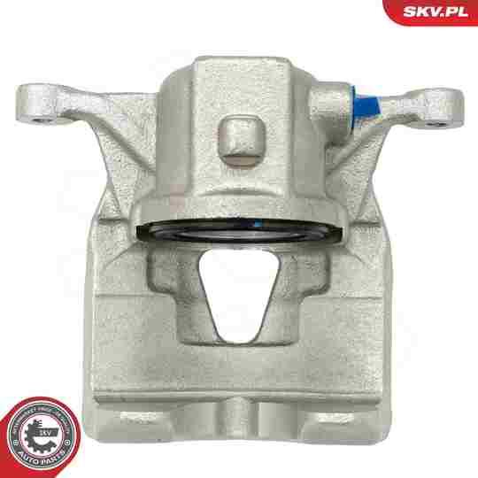56SKV842 - Brake Caliper 