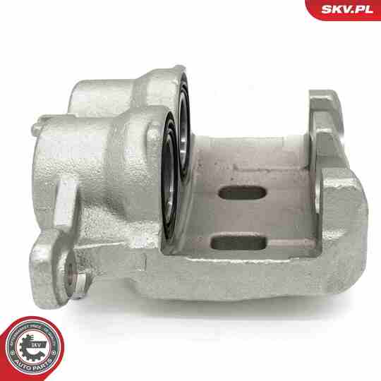 56SKV851 - Brake Caliper 