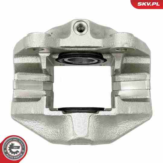 67SKV232 - Brake Caliper 