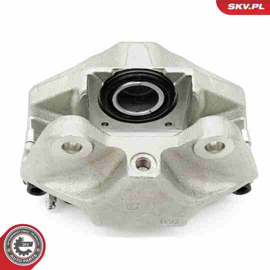 67SKV232 - Brake Caliper 