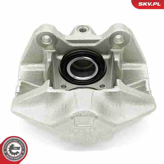 67SKV232 - Brake Caliper 