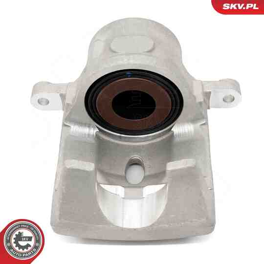 67SKV002 - Brake Caliper 