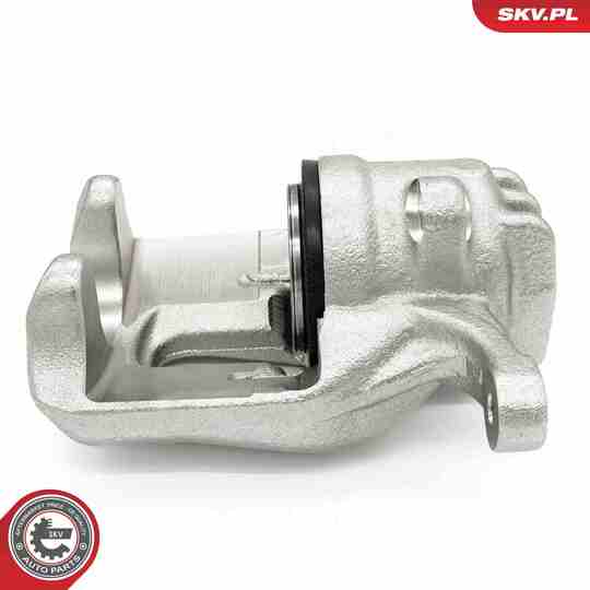 56SKV811 - Brake Caliper 