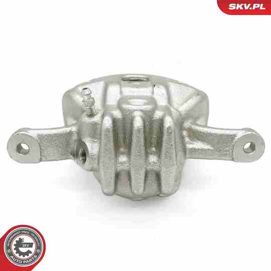 56SKV811 - Brake Caliper 