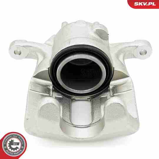 56SKV811 - Brake Caliper 