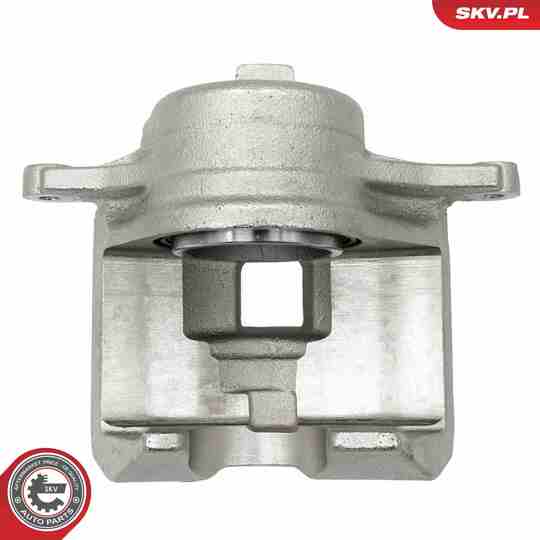 56SKV802 - Brake Caliper 