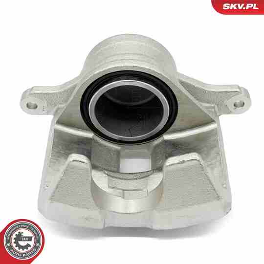 56SKV802 - Brake Caliper 