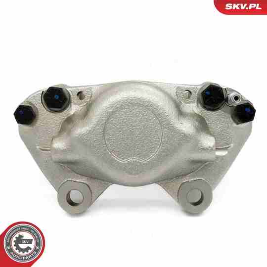 67SKV121 - Brake Caliper 