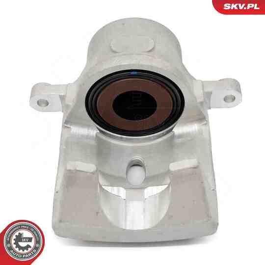 67SKV001 - Brake Caliper 