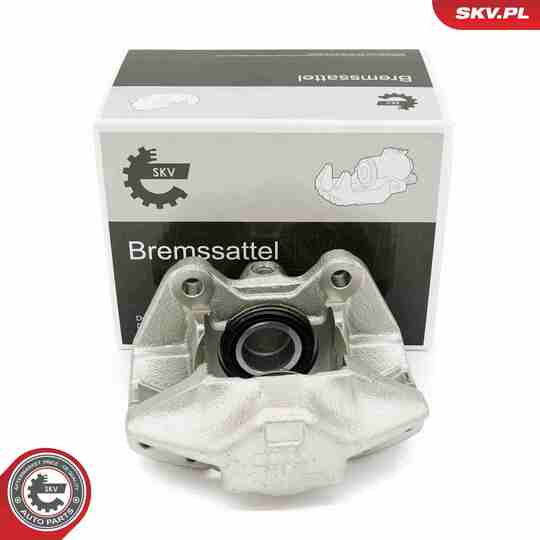 67SKV231 - Brake Caliper 