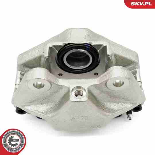 67SKV231 - Brake Caliper 