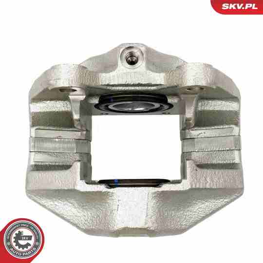 67SKV231 - Brake Caliper 