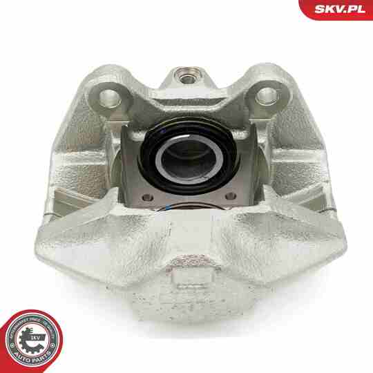 67SKV231 - Brake Caliper 