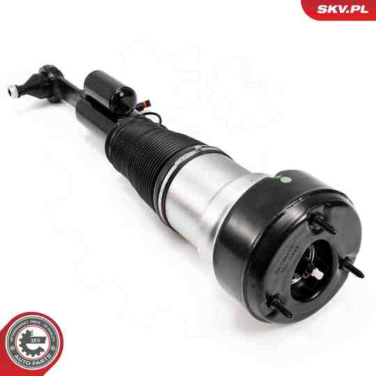 58SKV721 - Air Spring Strut 