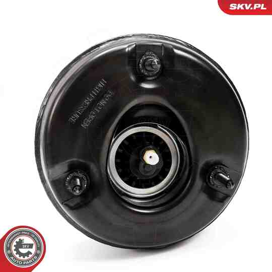 58SKV721 - Air Spring Strut 