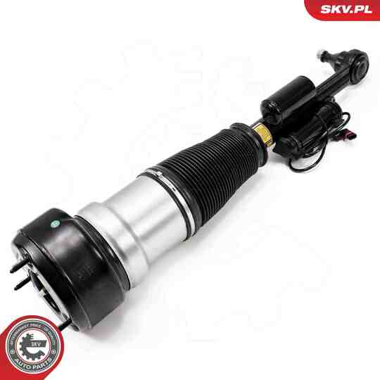 58SKV721 - Air Spring Strut 