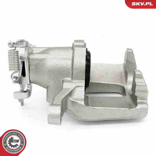 67SKV493 - Brake Caliper 