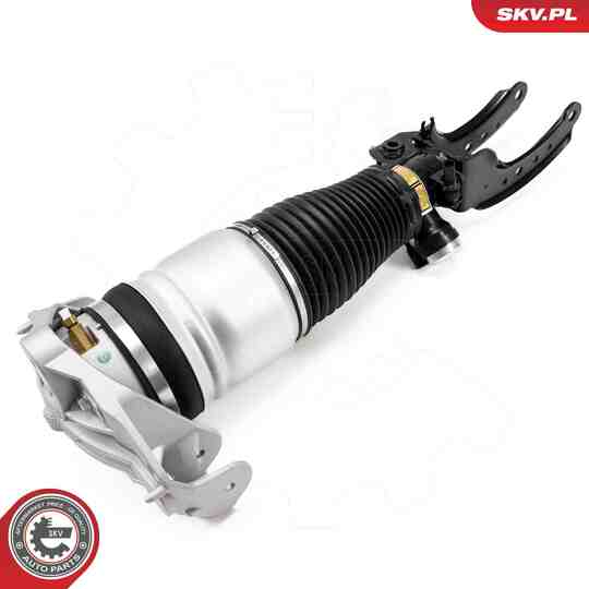 58SKV704 - Air Spring Strut 