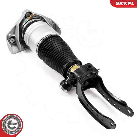 58SKV704 - Air Spring Strut 