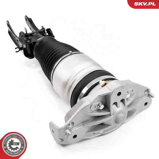 58SKV704 - Air Spring Strut 