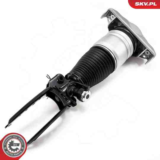 58SKV704 - Air Spring Strut 