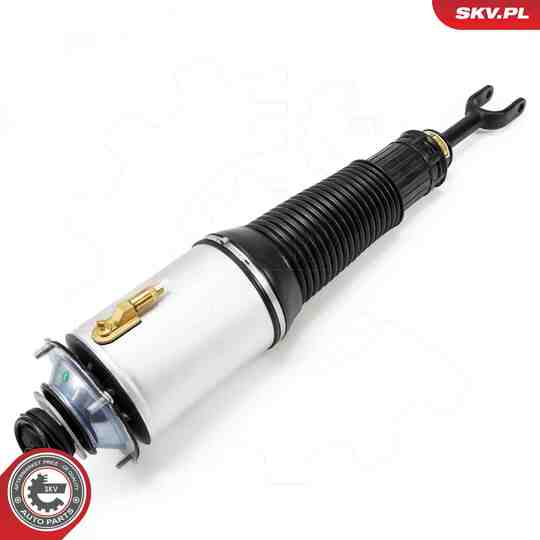 58SKV701 - Air Spring Strut 