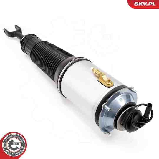 58SKV701 - Air Spring Strut 