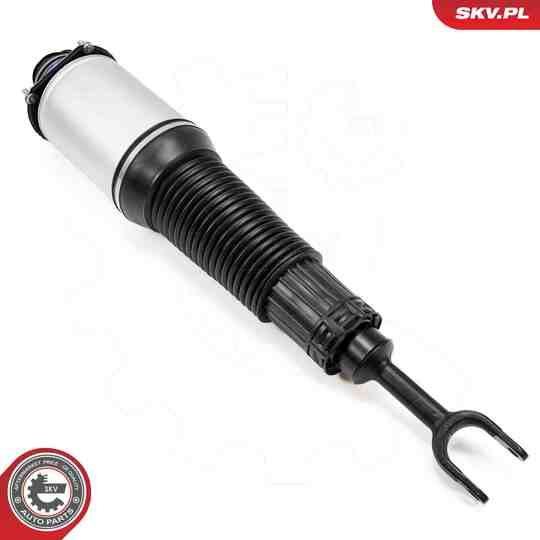 58SKV701 - Air Spring Strut 